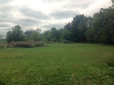 L159 S Rutland St, Brooklyn, WI 53521 - photo 3