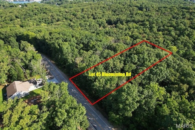 3 Lots Village of the Four Seasons, Lake Ozark, MO 65049 - photo 2