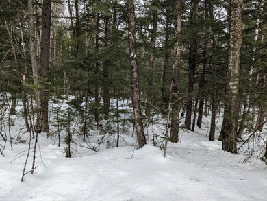 25 Fernalds Hill Way, Stow, ME 04037 - photo 5