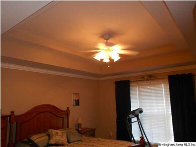 Tray ceiling in master bedroom