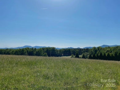 TBD Golf Course Rd, Columbus, NC 28722 - photo 3