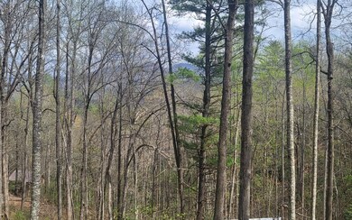 Additional View