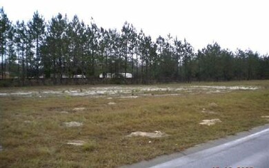 0 NW Caden Glen, Lake City, FL 32055 - photo 3