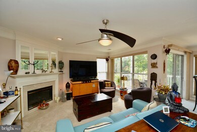 9258 Cardinal Forest Ln unit 201, Lorton, VA 22079 - photo 5