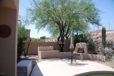 6backYard1