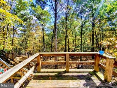 189 Calypso Trail, Great Cacapon, WV 25422 - photo 5