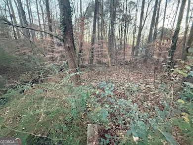 0 Marty Ln unit 10655711, Dallas, GA 30132 - photo 4