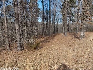 000 Greene 707 Rd, Paragould, AR 72450 - photo 5