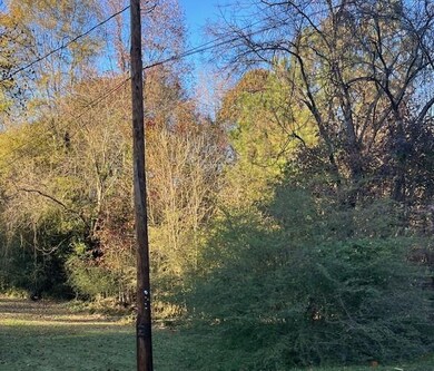 View of wooded area