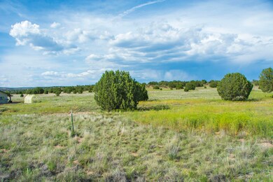 12X2 E Cougar Ridge Rd, Paulden, AZ 86334 - photo 4