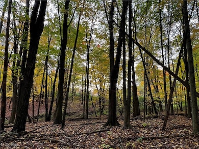 0 Garfield Rd, Hiram, OH 44234 - photo 2