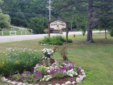 363 Daniel Webster Hwy, North Woodstock, NH 03262 - photo 2