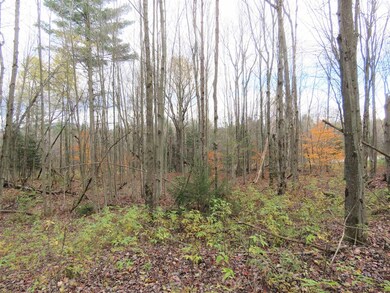 0 E Hill Rd unit 4889279, Troy, VT 05859 - photo 2