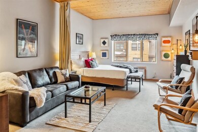Studio sleeps 4 with a high end pull out sofa.