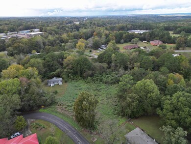 3013 Crestlane Dr, Adamsville, AL 35005 - photo 4