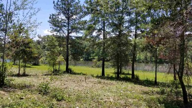 0 Bond Rd unit ACREAGE 281563, Cairo, GA 39828 - photo 7