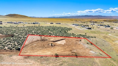 1-002N Aerial 1 Lot Lines