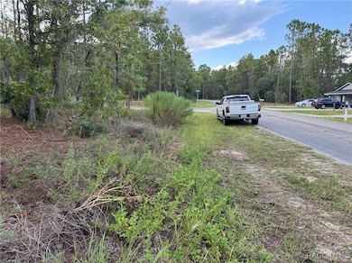 9506 N Travis Dr, Citrus Springs, FL 34434 - photo 4