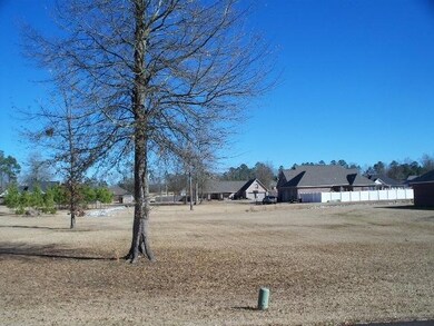 6 Docs Ln, Ellisville, MS 39437 - photo 2