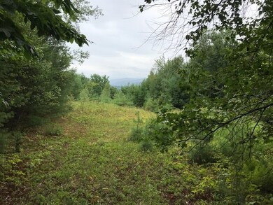 333 Country Club Loop unit 38, Stowe, VT 05672 - photo 5