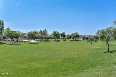 Cortana at Desert Oasis-Park2