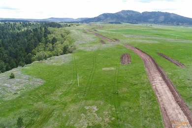 TBD Cedar Berry Dr, Spearfish, SD 57783 - photo 6