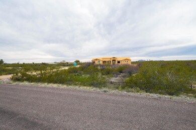 22195 El Grande Trail, Wickenburg, AZ 85390 - photo 4