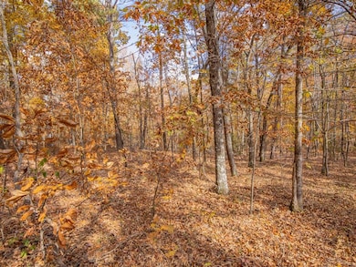 0 Galway Dr unit 7686051, Kingston, GA 30145 - photo 3