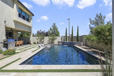 Custom Pool with Baja Shelf and Water feature