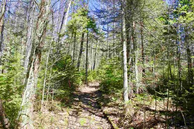 0 Schmidt Rd, Andover, VT 05143 - photo 5