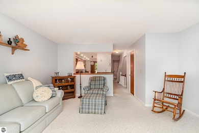 1700 Tartan Trail unit B, Alma, MI 48801 - photo 4