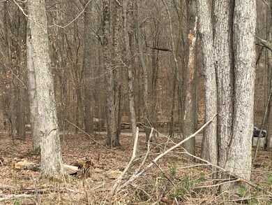 668 Natchez Ln, Sugar Grove, OH 43155 - photo 3