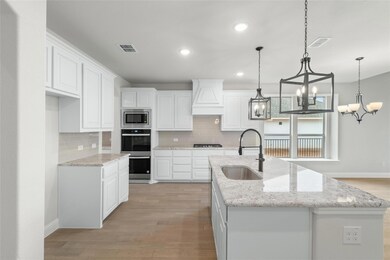 3160 Ferry Boat Ln, Granbury, TX 76049 - photo 4