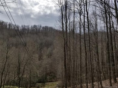 10 Acres Lickskillet Rd unit 5 & 9, Cane River, NC 28714 - photo 6