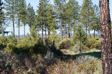 61020 Bachelor View, Bend, OR 97702 - photo 6