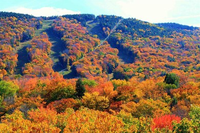 170 S Peak Rd unit 10, Lincoln, NH 03251 - photo 4