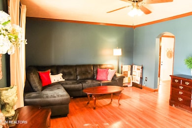 4301 Garden Dr, Knoxville, TN 37918 - photo 4