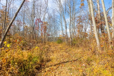 7605 Hambel Rd, Malta, OH 43758 - photo 7