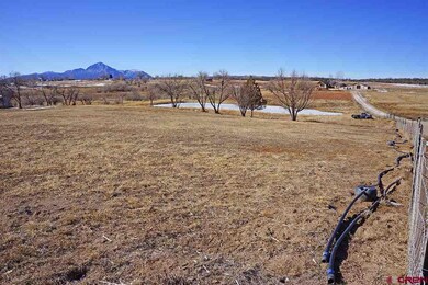 24934 Road N 4, Cortez, CO 81321 - photo 2