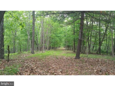 115 Tunnel Rd, Auburn, PA 17922 - photo 5