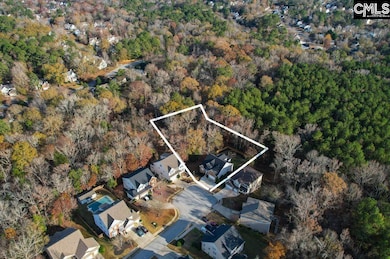 657 Hamlin Way, Irmo, SC 29063 - photo 7