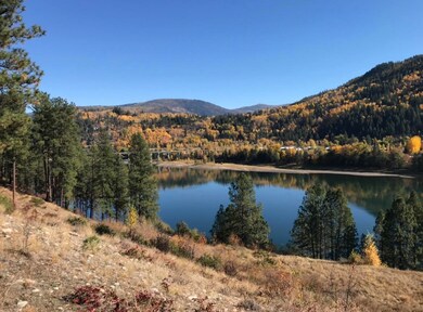 X S of Hwy W 200' Gov Lot 4, Northport, WA 99157 - photo 5