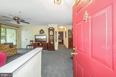 5017 Triplett Rd, Owings Mills, MD 21117 - photo 4
