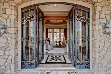 Grand entry door & star medallion