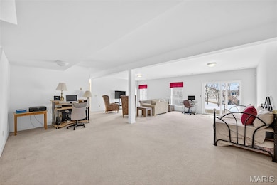 912 Waterford Villas Ct unit 57, Lake Saint Louis, MO 63367 - photo 7