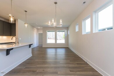 29 Merriville Rd, Pittsboro, NC 27312 - photo 5