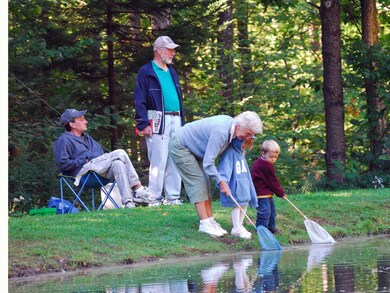 241 Rabbit Run unit M241, Wilmington, VT 05363 - photo 5