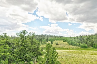 440 Sharps Way, Como, CO 80432 - photo 4