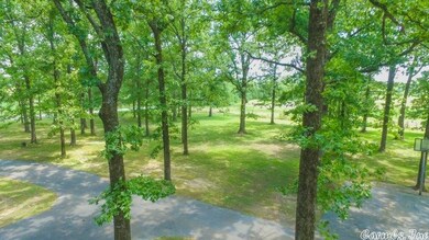 0 Lower Ridge Rd unit 16018137, Conway, AR 72032 - photo 3