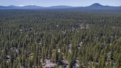3-web-or-mls-DJI_0860
